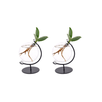 Clusia en verre Victoria - 2 pièces - Ø5cm - ↕10cm - GREEN OASIS - SHOP