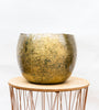 Pot Ellen Brass - 30x25 - GREEN OASIS - SHOP