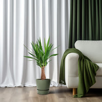 Yucca « Maya Tree »  - Ø19 cm - ↕80 cm Everspring