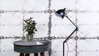 Anthurium Black Love - Ø 12 cm - ↕ 36 cm - GREEN OASIS - SHOP Plantes vertes originales livrées à votre domicile
