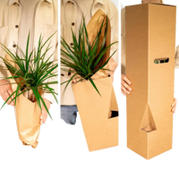 Boîte MIX de plantes pour extérieur - Ø12cm - 10x Everspring