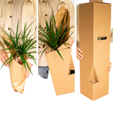 Boîte MIX de plantes pour extérieur - Ø12cm - 10x Everspring