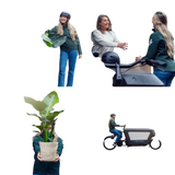 Calathea Ornata - Ø19cm - ↕75cm Everspring