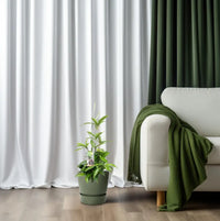 Dracaena Surculosa - Ø17cm - ↕55cm Everspring