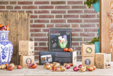 🌸 Dutch Flower Mix – IDEE CADEAU! Boîte de Luxe Moyenne, 40 Bulbes pour 1 m² de Fleurs Hollandaises – Taille 12+ - GREEN OASIS - SHOP