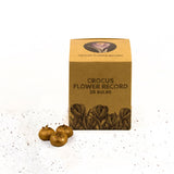 🌷 Flower Record Crocus violettes – 20 Bulbes à Fleurs – Taille 8+ - GREEN OASIS - SHOP