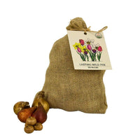 🌼 Flowerbulbs Amsterdam – Mélange Sauvage Durable – Pack Éco de 50 Bulbes pour 1 m² de Fleurs Vivaces et Naturelles - GREEN OASIS - SHOP