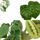 Jardinière respectueuse des animaux - 4 pièces - Ø12cm - ↕20-40cm Everspring