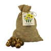 🌼 Medium Narcissus Mix – Pack Économique Durable, 50 Bulbes pour 1 m² de Fleurs – Taille 12/14 - GREEN OASIS - SHOP