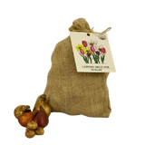 🌼 Mélange de bulbes sauvages – Pack Éco de 50 Bulbes - GREEN OASIS - SHOP