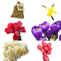 🌼 Mélange de bulbes sauvages – Pack Éco de 50 Bulbes - GREEN OASIS - SHOP