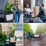 Mélange d'herbes aromatiques - 4 pièces - Ø14cm - ↕18cm Everspring