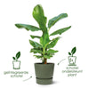 Pot Elho Greenville Rond Noir - D18 x H17 - GREEN OASIS - SHOP