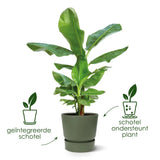 Pot Elho Greenville Rond Noir - D18 x H17 - GREEN OASIS - SHOP