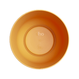 Pot Elho Jazz rond Jaune Ambré - D26 x H24 - GREEN OASIS - SHOP