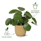 Pot Elho Vibes Fold rond Bleu - D14 x H13 Everspring