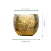 Pot Ellen Brass - 38x31 - GREEN OASIS - SHOP Plantes vertes originales livrées à votre domicile