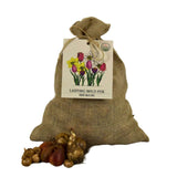 🌼 Super Lasting Wild Mix – Pack Économique Durable, 100 Bulbes pour 2,5 m² de Fleurs Sauvages Éblouissantes - GREEN OASIS - SHOP