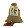 🌼 Super Lasting Wild Mix – Pack Économique Durable, 100 Bulbes pour 2,5 m² de Fleurs Sauvages Éblouissantes - GREEN OASIS - SHOP