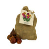 Super Tulip Mix - Paquet économique, 50 bulbes à fleurs - GREEN OASIS - SHOP