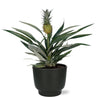 Ananas Bromelia - Ø12cm - ↕30cm + Pot Potenza D13x11cm - Noir Everspring