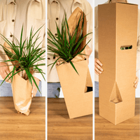 Boîte surprise - Ø12cm - ↕25cm - x5 Everspring