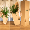 Boîte surprise - Ø12cm - ↕25cm - x5 Everspring