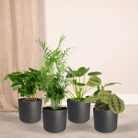 Jardinière respectueuse des animaux - 4 pièces - Ø12cm - ↕20-40cm Everspring