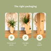 Jardinière respectueuse des animaux - 4 pièces - Ø12cm - ↕20-40cm Everspring