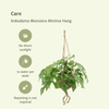 Kokodama Monstera Minima à suspendre (plante à trous) - 2 pièces - Ø15cm - ↕25cm Everspring
