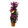Pyramide de bougainvilliers - 80 cm - Ø17cm Everspring