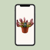 Sarracenia Scarlet Belle - Ø12cm - ↕40cm Everspring