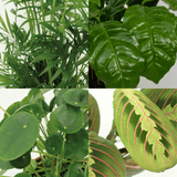 Jardinière respectueuse des animaux - 4 pièces - Ø12cm - ↕20-40cm Everspring