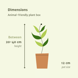 Jardinière respectueuse des animaux - 4 pièces - Ø12cm - ↕20-40cm Everspring