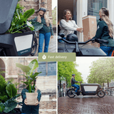 2x Sansevieria Laurentii - Langue de Dame - 40 cm - ø14 Everspring