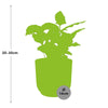 Coffea Arabica + pot ELHO Vibes Fold 14 cm rose Everspring