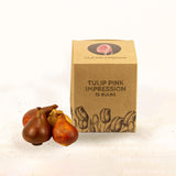 Tulipes Pink Impression – 15 bulbes à fleurs – Taille 12+ - GREEN OASIS - SHOP