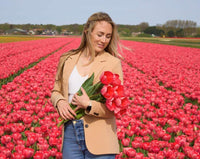 Tulipes "Van Eijk" – 15 bulbes à fleurs – Taille 12+ - GREEN OASIS - SHOP