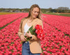 Tulipes "Van Eijk" – 15 bulbes à fleurs – Taille 12+ - GREEN OASIS - SHOP