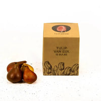 Tulipes "Van Eijk" – 15 bulbes à fleurs – Taille 12+ - GREEN OASIS - SHOP