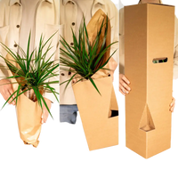 Yucca Elephantipes - Ø17cm - ↕85cm Everspring